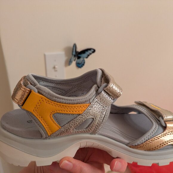 Ecco - Picture 2 of 7